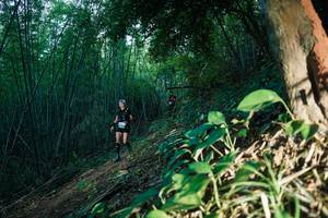 BIB: 
                            <button type="button" onclick="openModal(28124111)" class="btn btn-primary btn-sm float-right btn-popup" data-toggle="modal" data-target=".modal-high-quality">
                        <i class="fas fa-shopping-cart"></i> Add to Cart
                    </button>
                                            <button type="button" onclick="isThisMe(28124111, true)" class="btn btn-success btn-sm float-right btn-popup btn-isme hidden" data-toggle="tooltip" data-placement="bottom" title="นี่คือรูปของคุณใช่ไหม คลิกที่นี่เพื่อเอาเข้าอัลบั้ม">
                        <i class="fas fa-plus"></i> Add to album
                    </button>
                    <button type="button" onclick="isThisMe(28124111, false)" class="btn btn-warning btn-sm float-right btn-popup btn-isnotme hidden">
                        <i class="fas fa-ban"></i> Remove from album
                    </button>